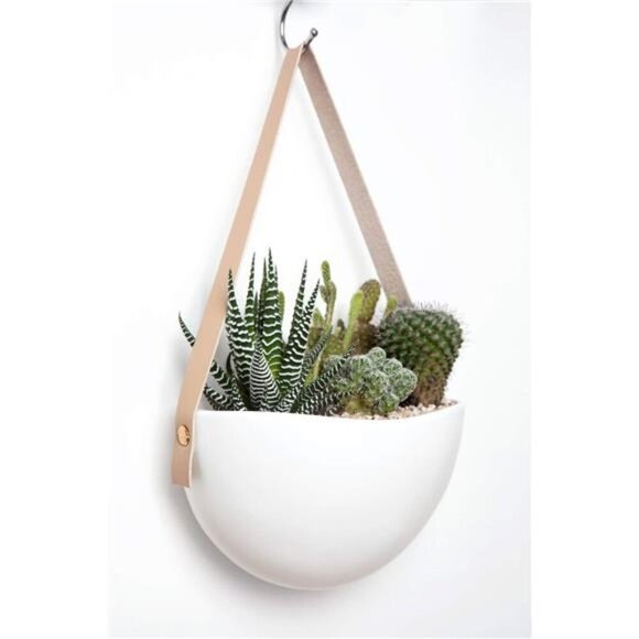 Wall Planter for Indoor Plants Ceramic Hanging FlowerPots for Succulent AirPlant - Picture 5 of 8